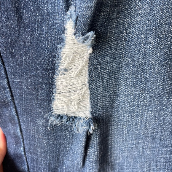 Lane Bryant Distressed Skinny Jeans - Picture 4 of 6